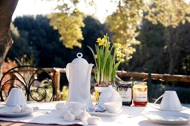 Borgo di Sassetta Toskana Agriturismo mit Pool und nah am Meer