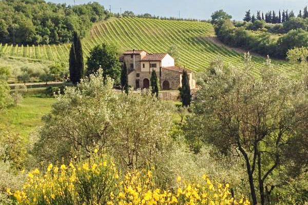Toskana Agriturismo Weingut mit Pool im Chianti mit Ferienwohnungen und Ferienhaus Umgebung