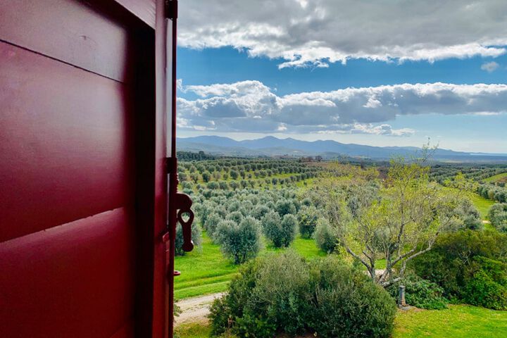 Toskana Agriturismo Valpiana in der Maremma am Meer Ferienwohnung Trilolocale Mansarda Nr. 206 mit Pool und Frühstück Panoramablick