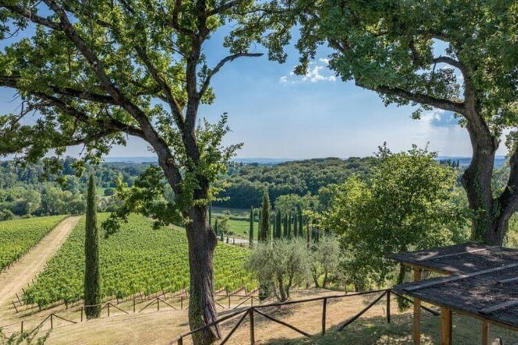 Toskana Ferienhaus Villa Vistavigna im Weingut mit Pool für 8 Personen