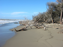 Sandstrand bei Spaggia delle Marze Maremma Toskana