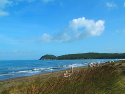 Sandstrand bei Castiglione della Pescaia Maremma Toskana