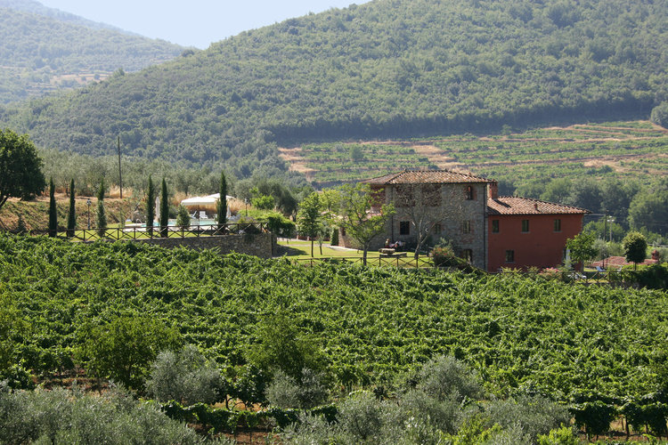 Ferienwohnung Fienile im Toskana Agriturismo Weingut Casale Presciano mit Terrasse und Pool