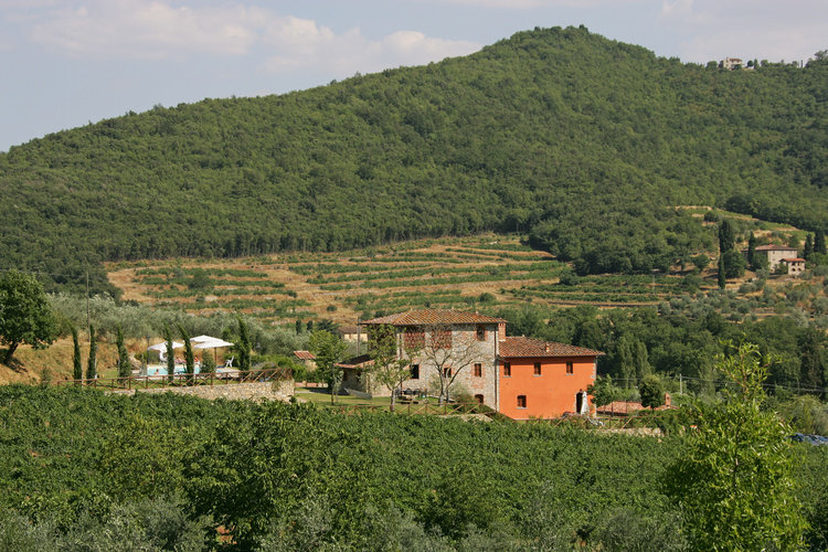 Ferienwohnung Fienile im Toskana Agriturismo Weingut Casale Presciano mit Terrasse und Pool