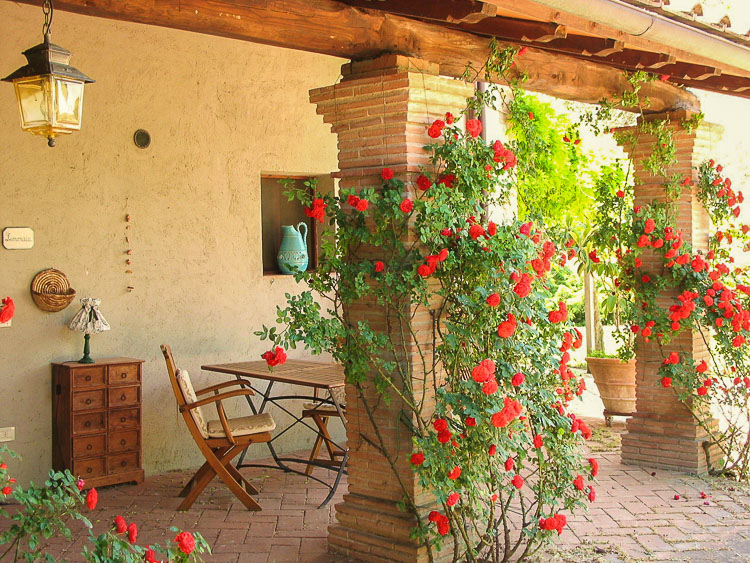 Ferienwohnung Limonaia Fattoria Fondacio Toskana Weingut mit Pool bei Florenz Terrasse 1